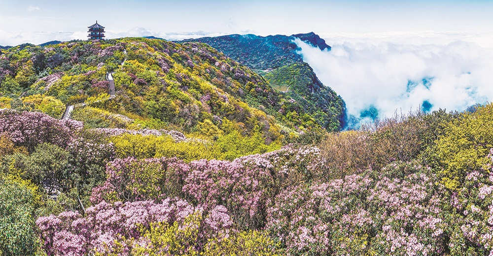 �����ɽ���N���� �Ĕz���c�����ɽ�������� �z��ҕ�X�ؑc��