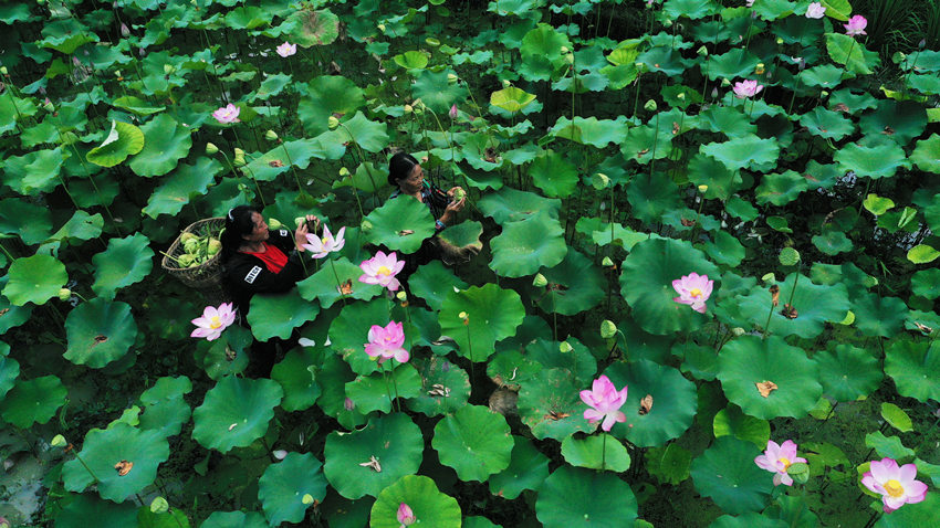 �����ɏ������Ψ�z