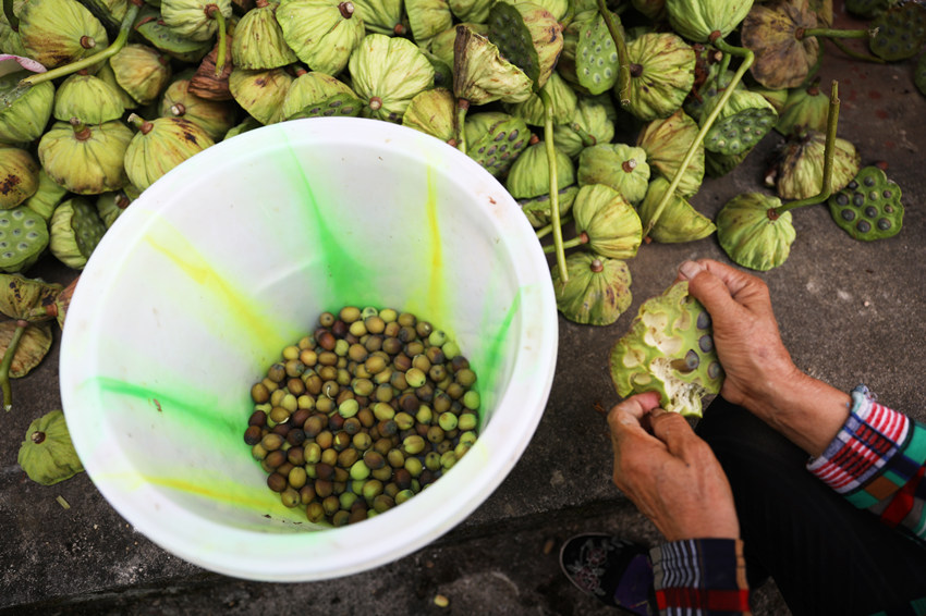 ��ɏ������Ψ�z