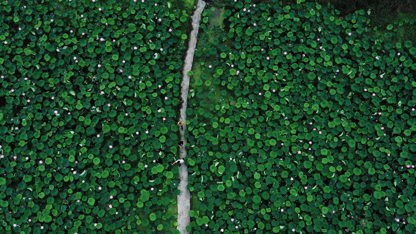 Ƚ���c����һ��鿴ɏ���L(zh��ng)��(sh��)����Ψ�z