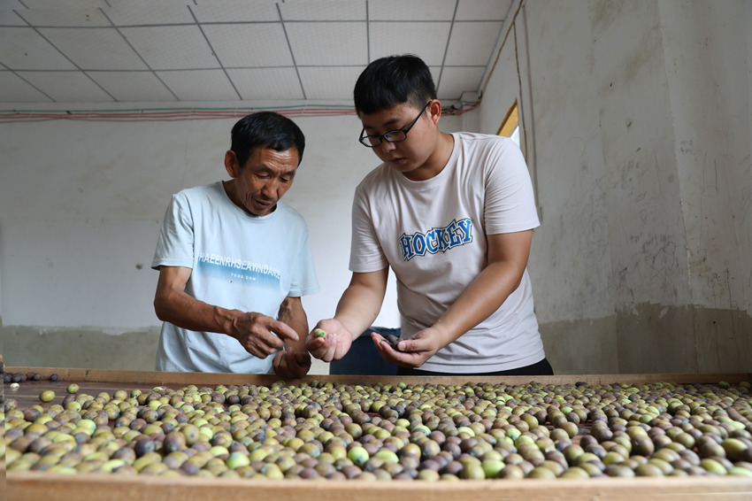 Ƚ�ࣨ�ң��o�����v�����ӷ֒�ɏ������Ψ�z