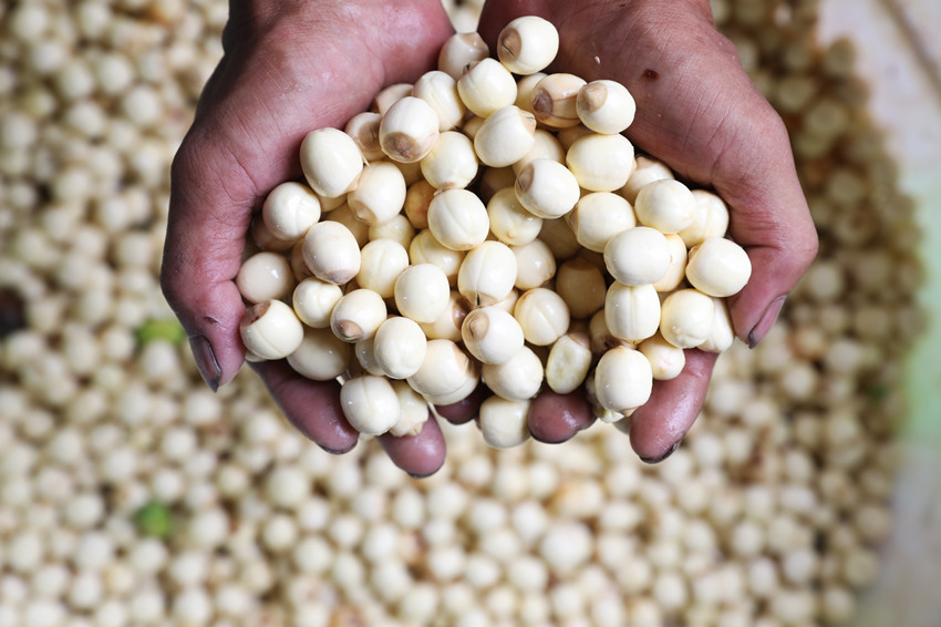 Ó����ɏ������Ψ�z