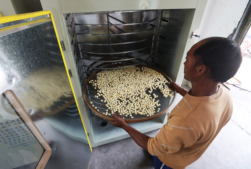 ����ɏ�ӷ����əC�������Ψ�z