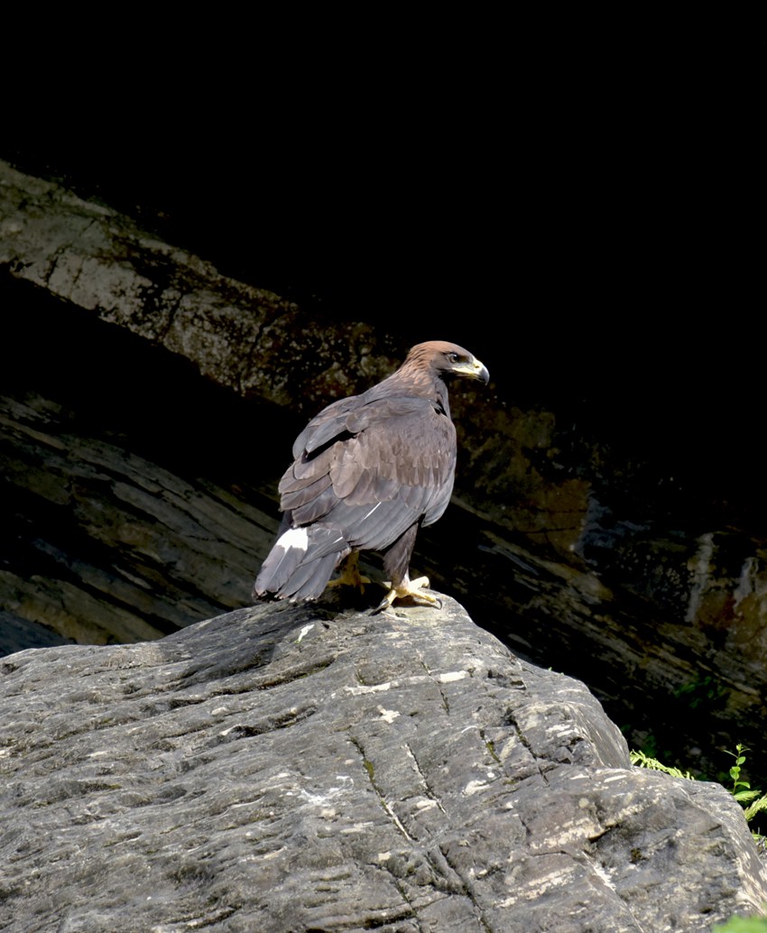 ��������Ȼ���o�^(q��)���ܿ�Ҋ��N���F�����ɽ�h�֘I(y��)�ֹ��D