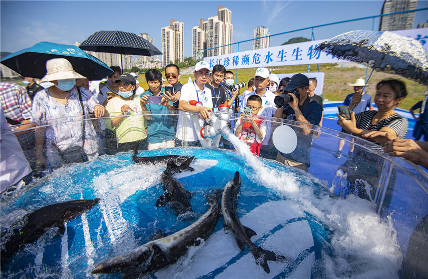 �L����ϡ�lΣˮ��������ֳ������ӬF(xi��n)����Ƚ��܊ �z