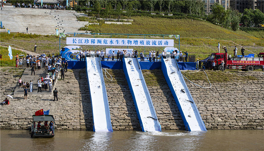 5�f��β���A�\���L���\����֬�~�ȇ������c���o(h��)ˮ��Ұ�����ﱻ�������L����Ƚ��܊ �z