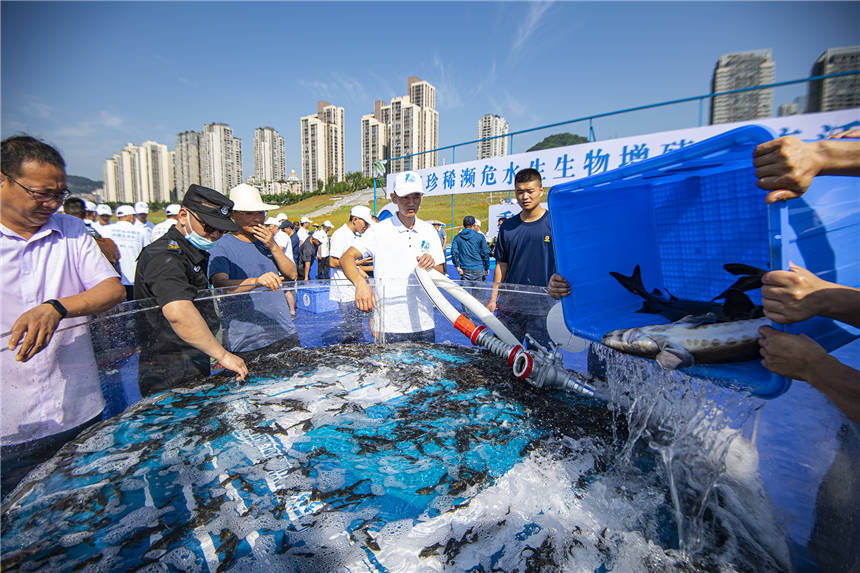 �L����ϡ�lΣˮ��������ֳ�������(d��ng)�F(xi��n)����Ƚ��܊ �z