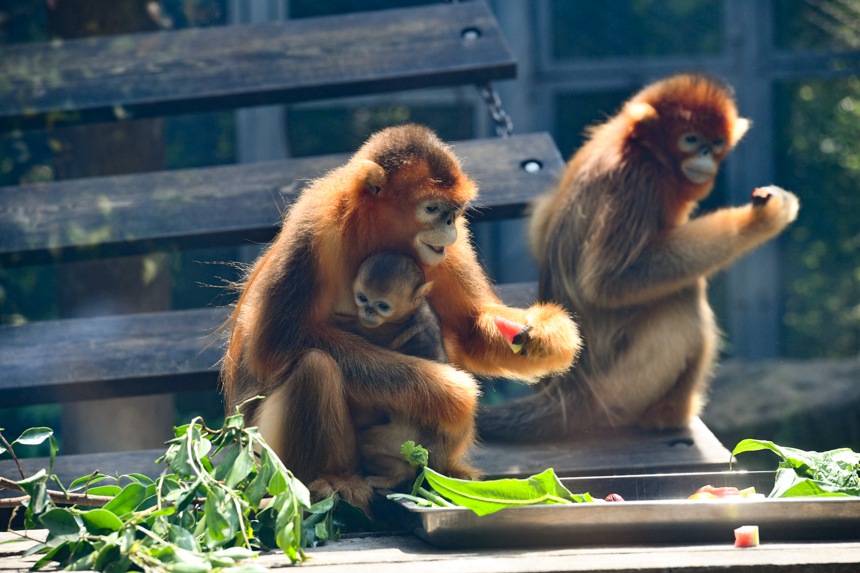 ����z����������ı������u��(l��)�z