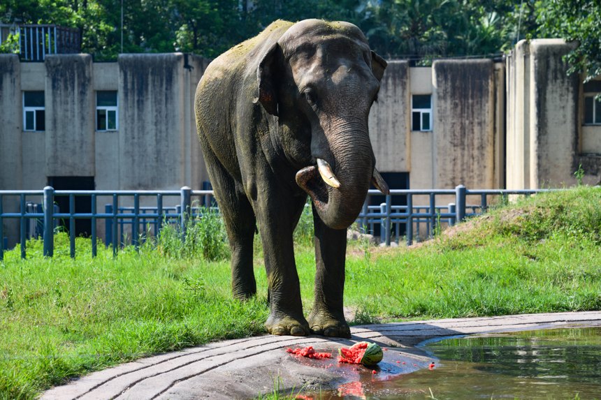 ������������u��(l��)�z