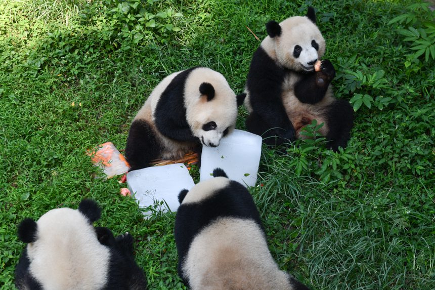 ����؈����������K���ı���u���z