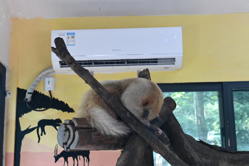 Сʳρ�F�ڴ����{(di��o)���u���z