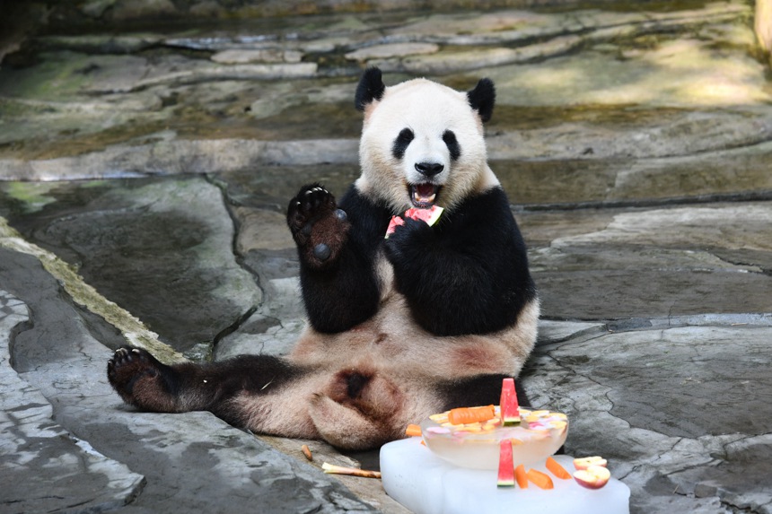 ����؈����������K���ı���u���z 