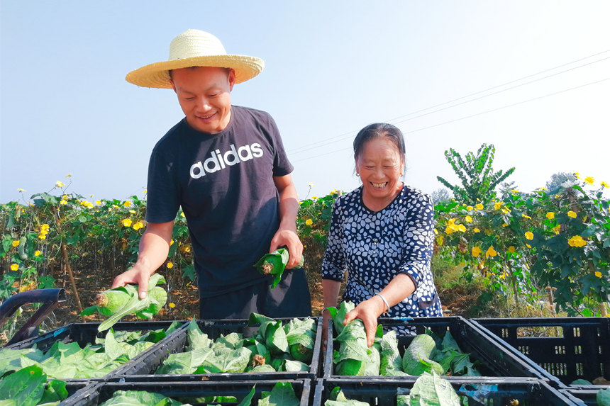 ���񌢲�ժ�Ľz���M(j��n)���b��������z