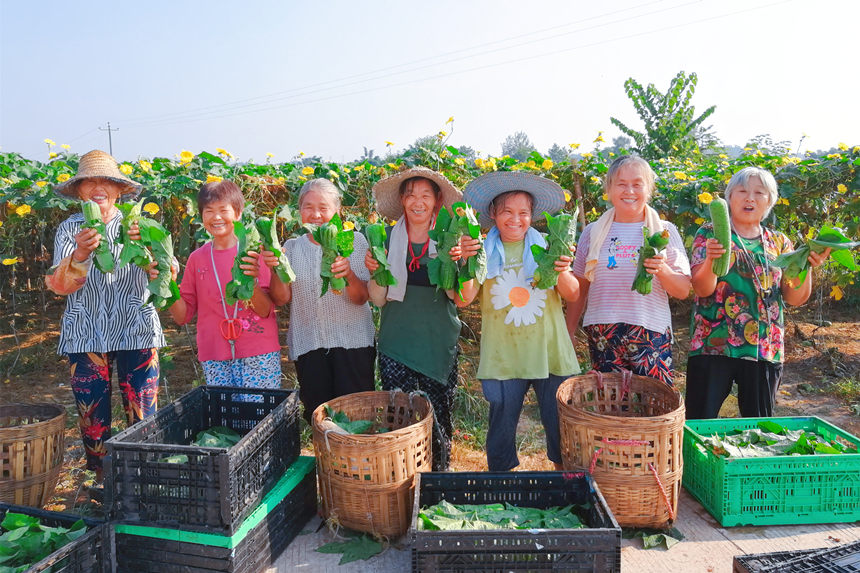 ���´�z���S�մ���(l��)������z