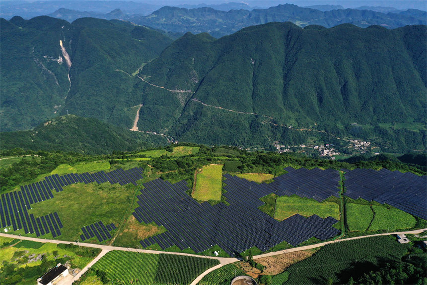 �ؑc��ǭ���^(q��)�����wɽ�ع���l(f��)늰��cȺɽ��������r(n��ng)������ӳ�����箋���� ���� �z