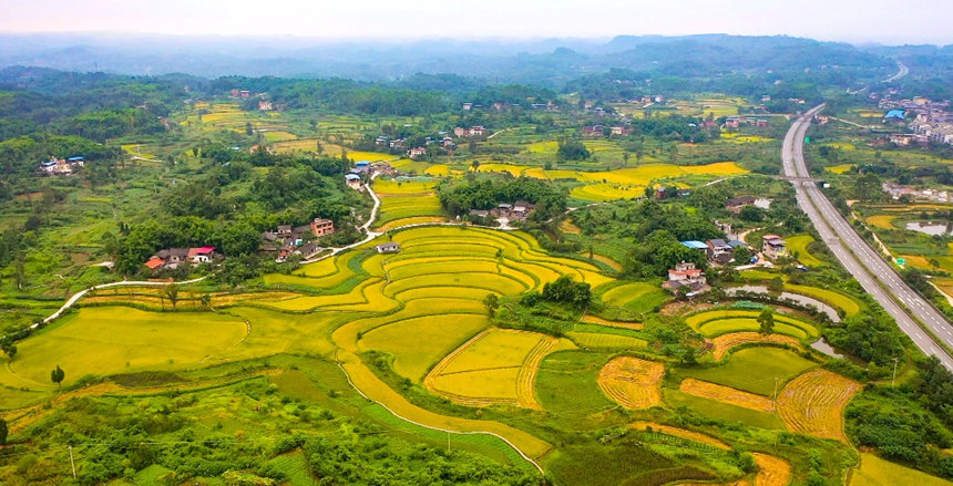 ��ɫ�������箋�����_���z