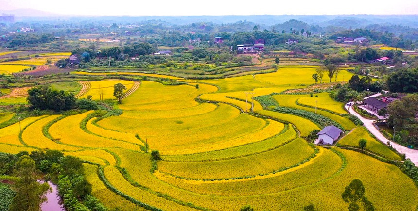 ��ɫ�������箋�����_���z