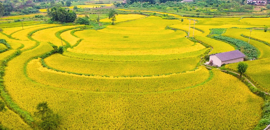 ��ɫ�������箋�����_���z