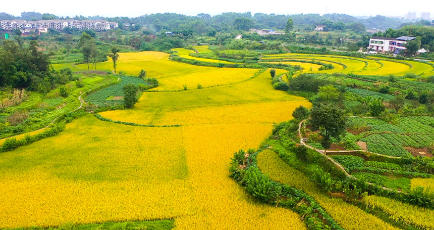 ��ɫ�������箋(hu��)�����_(k��i)���z