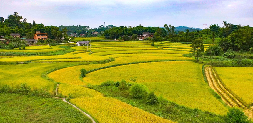 ��ɫ�������箋(hu��)�����_(k��i)���z