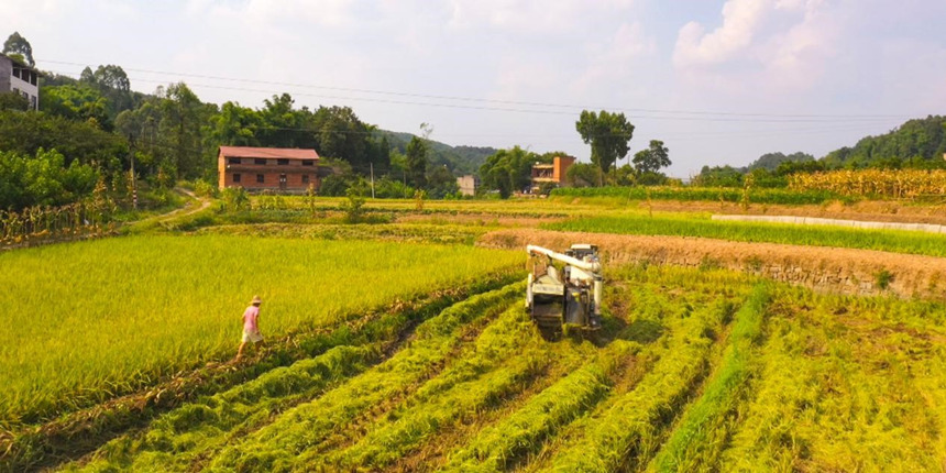 ���񼊼��������ո�C(j��)���xˇ�z