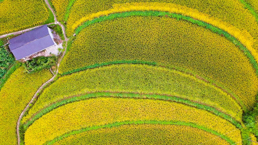 ��ɫ�������箋�����_���z