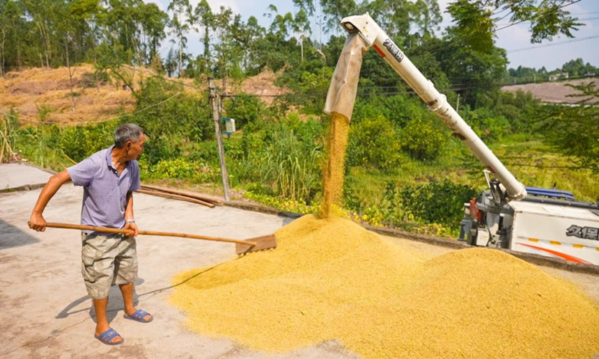 ���񼊼��������ո�C(j��)���xˇ�z