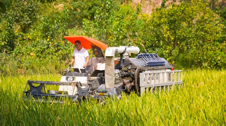 ���񼊼��������ո�C���xˇ�z