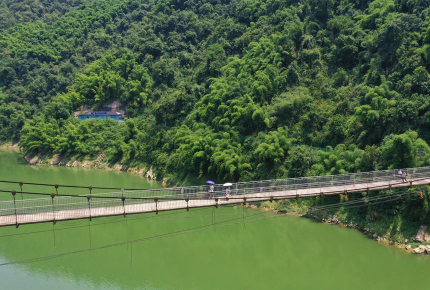 ����F������������z