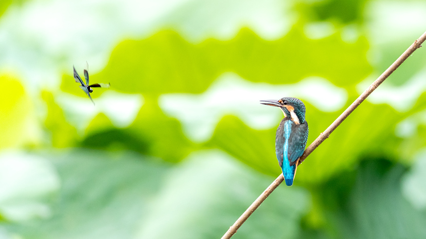 ���B��������z