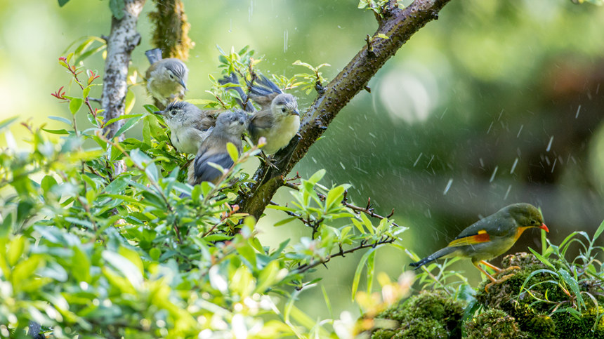 ���ؑc���ϴ��^(q��)�l(xi��ng)�g�Ĕz���B����������z