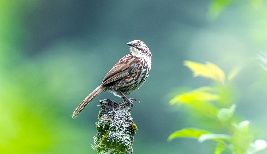 ì�y������������z