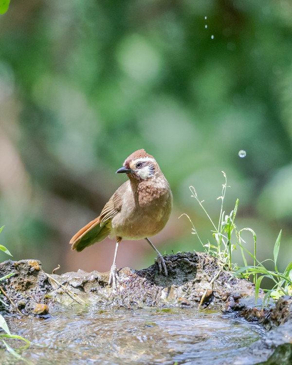 ���a���̡�������z