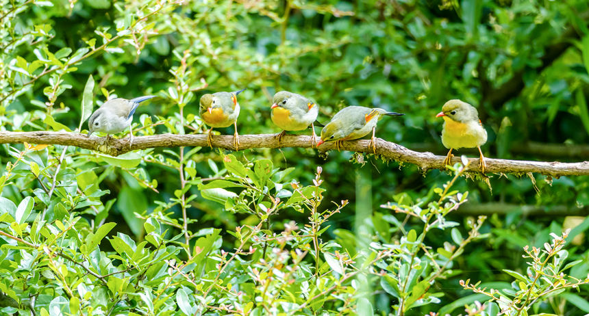 ���ؑc���ϴ��^(q��)�l(xi��ng)�g�Ĕz���B����������z