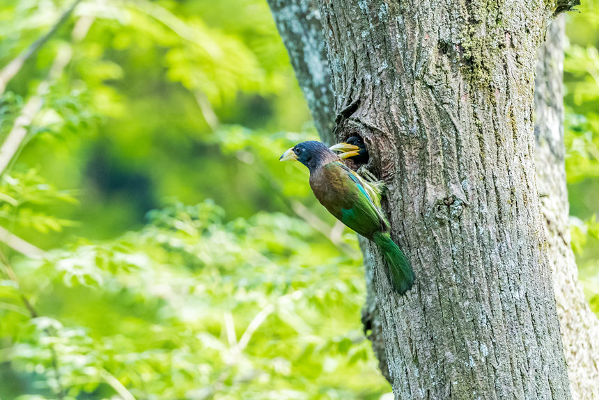 ���ؑc���ϴ��^(q��)�l(xi��ng)�g�Ĕz���B����������z