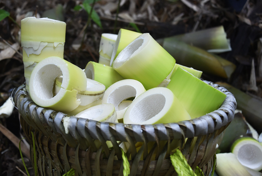 �����տ�����S���S�Ӕz