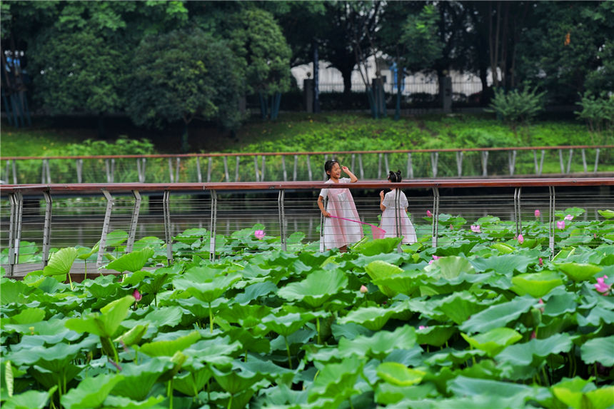 С�����ڳ���߅�ґ���ˣ������ �z