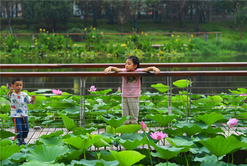 �ɻ�����׌�����������ͯԒ�����~�������d���o�޵�ͯȤ������ �z