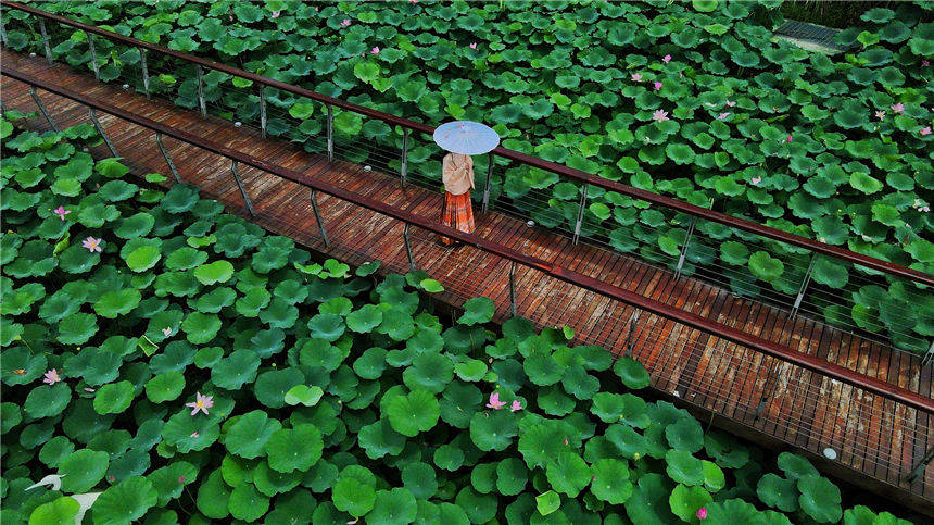 �Ŀ��и�M�غɻ�������һ����(y��u)����ˮī�������� �z