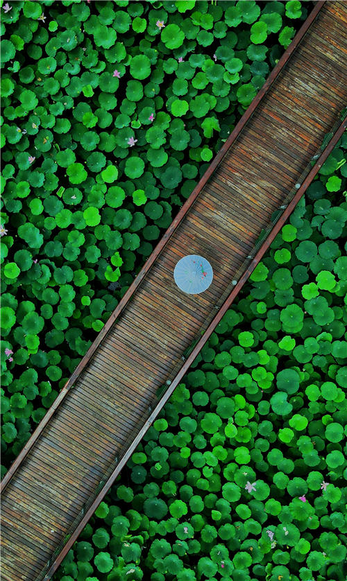 �Ŀ��и�M�غɻ�������һ����(y��u)����ˮī�������� �z