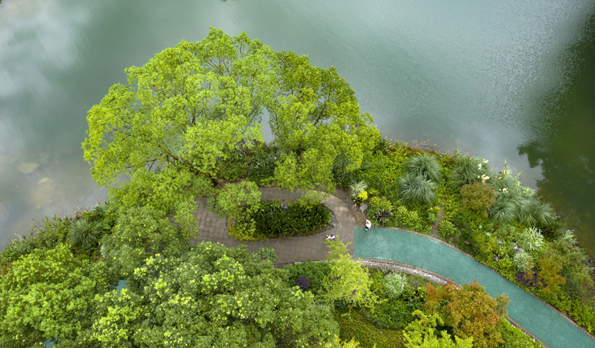 �ؑc�б��Յ^(q��)�N��ɽ������^(q��)����͢���z