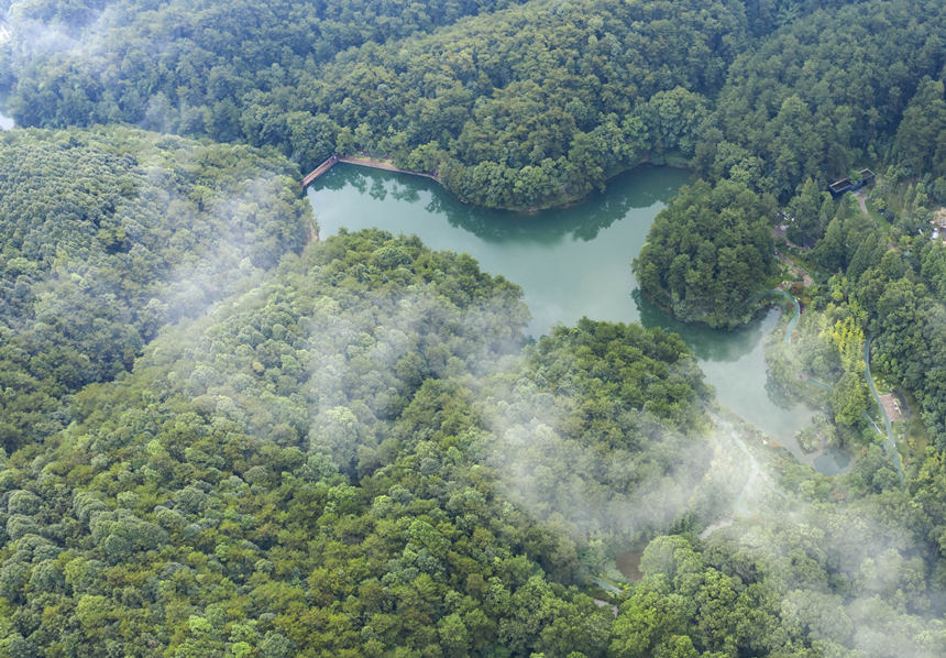 �ؑc�б��Յ^(q��)�N��ɽ������^(q��)����͢���z