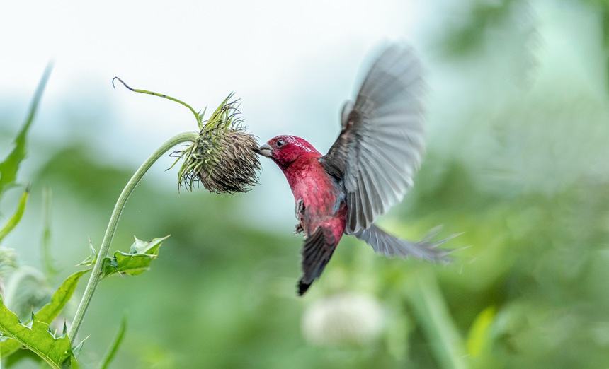 �ؑc�ϴ����ɽ�w��ľƼt��ȸ��������z