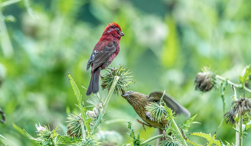 �ؑc�ϴ����ɽ�w��ľƼt��ȸ��������z