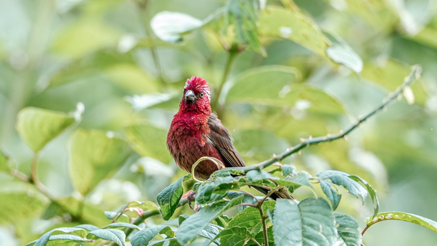 �ؑc�ϴ����ɽ�w��ľƼt��ȸ��������z