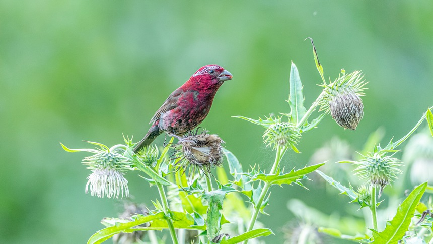 �ؑc�ϴ����ɽ�w��ľƼt��ȸ��������z