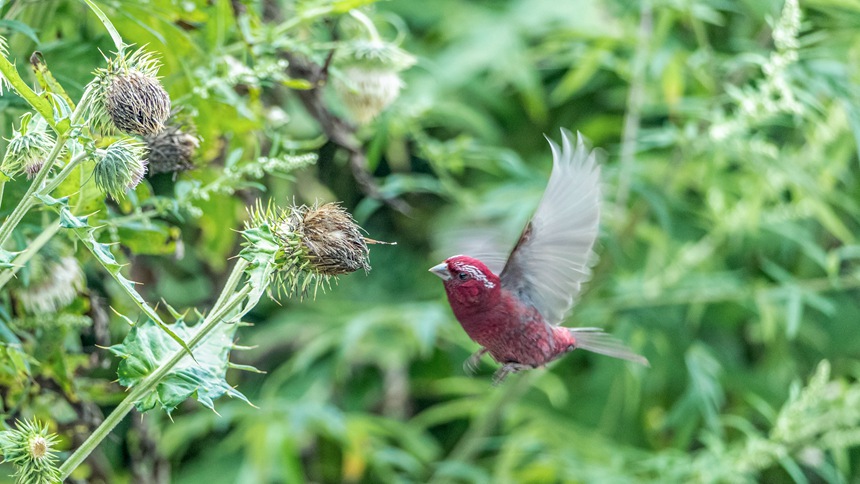 �ؑc�ϴ����ɽ�w��ľƼt��ȸ��������z