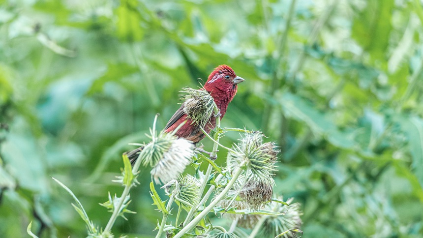 �ؑc�ϴ����ɽ�w��ľƼt��ȸ��������z