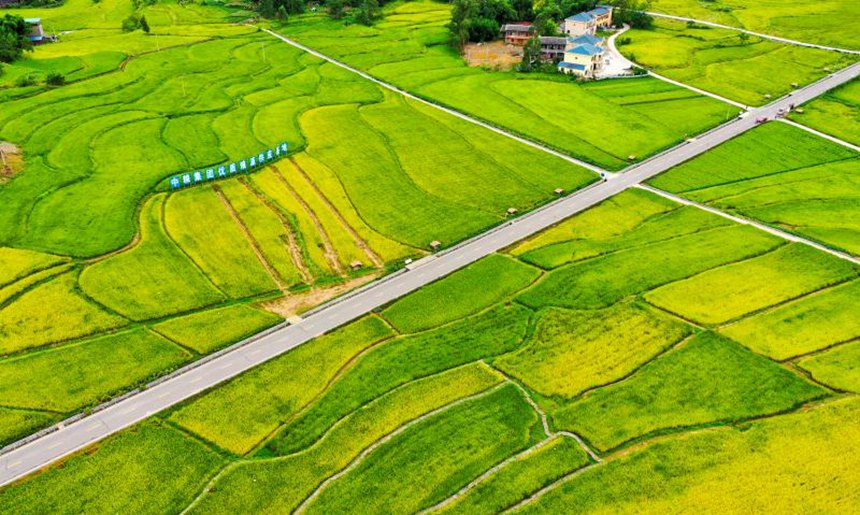 �ؑc��ƽ�ЙCˮ���Nֲ�������܂��z