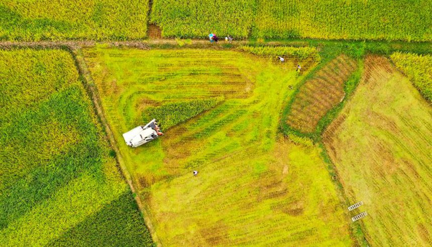 �ؑc��ƽ������@�L(f��ng)�����܂��z